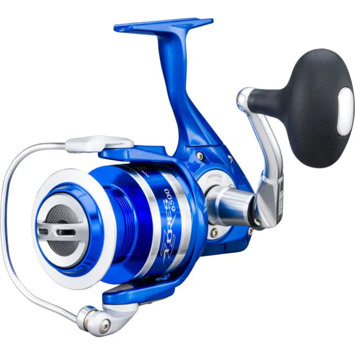aird coastal saltwater reel AMAZING, Budget Friendly Rod // Daiwa Aird Coastal Review