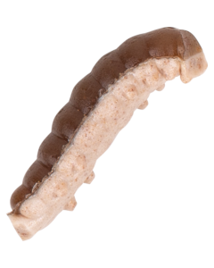 Berkley Powerbait Power Honey Worms Grey Pearl