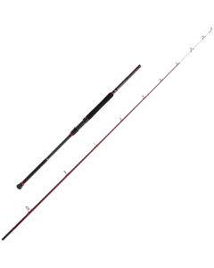 Penn Squadron III Uptide Spinning Rod 2.90m 170-280g