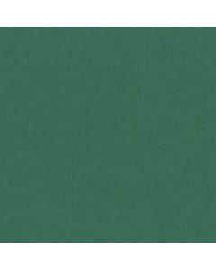 Daler Rowney A1 Canford Card Emerald 300gsm