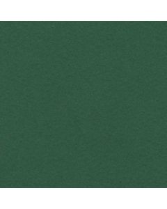 Daler Rowney A1 Canford Card Jewel Green 300gsm
