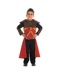 Rubies Harry Potter And The Half-Blood Prince Boys Deluxe Quidditch Robe Small