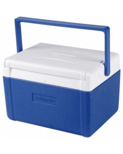 WSB Cool Box 5 Litre