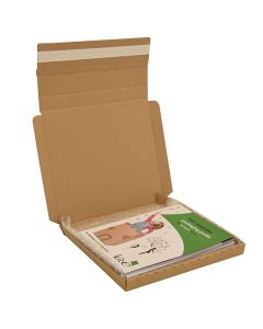 Peal &amp; Seal Cardboard Box 220x190x19mm