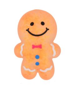 KandyToys Squishy Gingerbread Character
